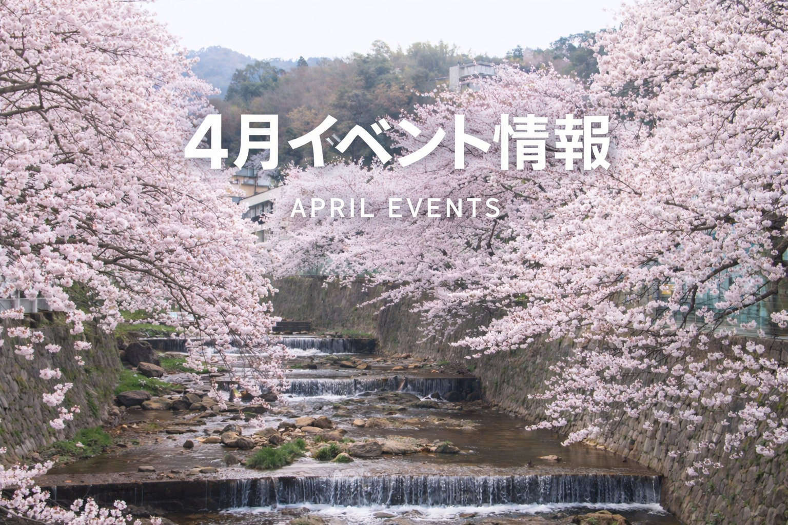 4月イベント情報　春のライドイベント！